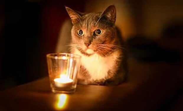 post-32795 thumbnail