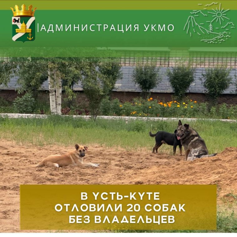 post-30169 thumbnail