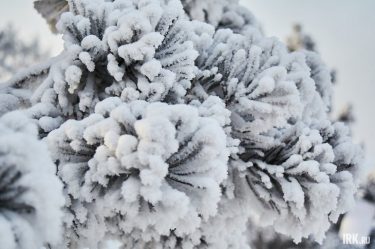 post-33136 thumbnail