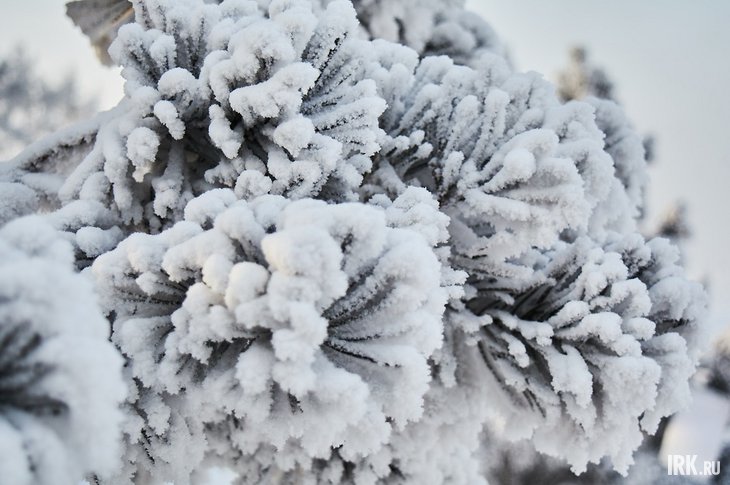 post-33136 thumbnail